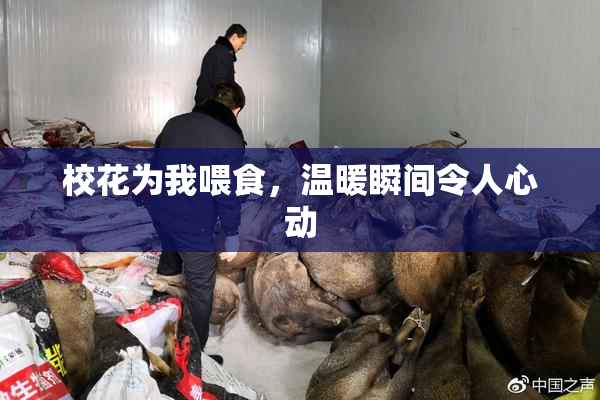 校花为我喂食，温暖瞬间令人心动