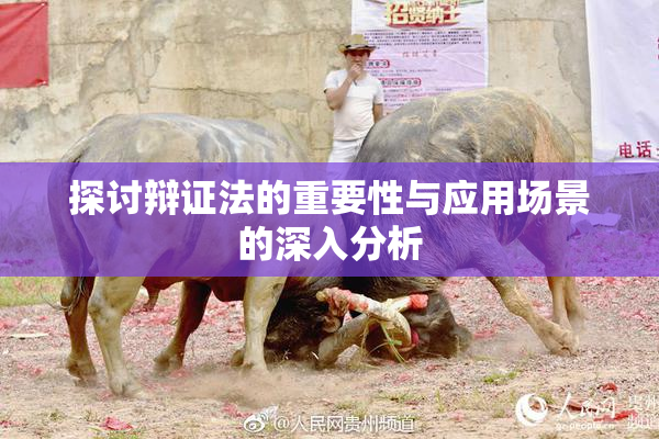 探讨辩证法的重要性与应用场景的深入分析