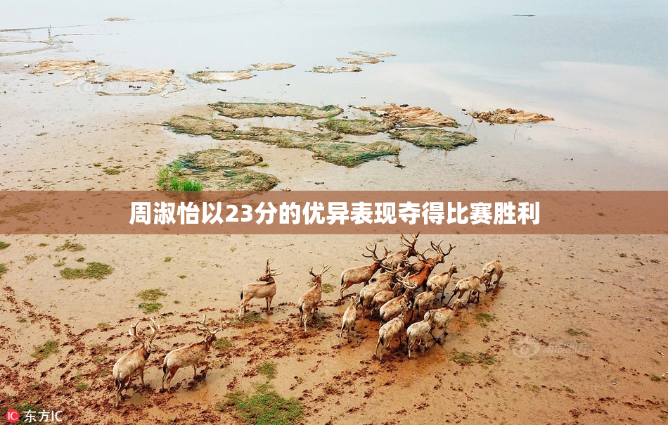 周淑怡以23分的优异表现夺得比赛胜利