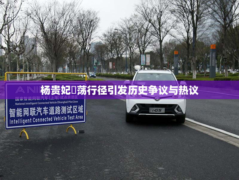 杨贵妃婬荡行径引发历史争议与热议