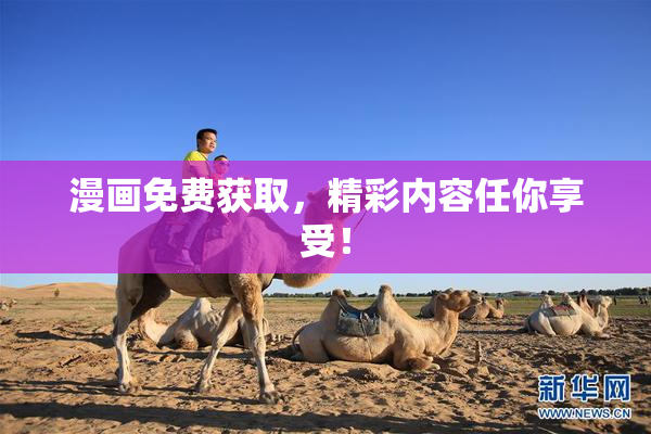漫画免费获取，精彩内容任你享受！