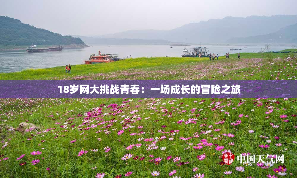 18岁网大挑战青春：一场成长的冒险之旅