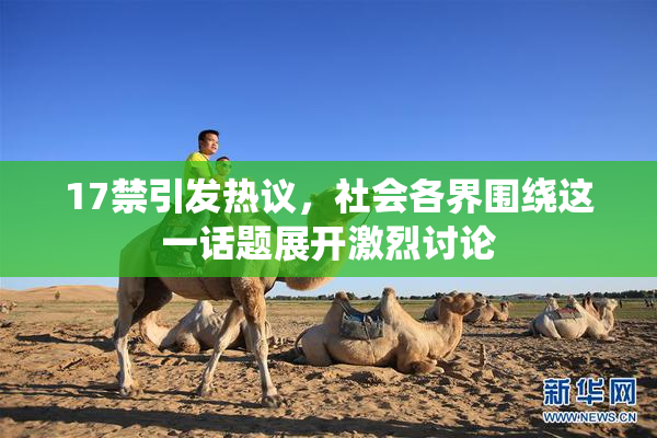17禁引发热议，社会各界围绕这一话题展开激烈讨论