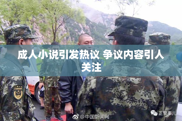 成人小说引发热议 争议内容引人关注