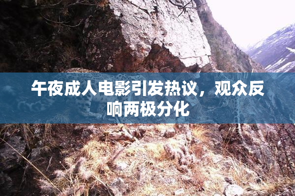 午夜成人电影引发热议，观众反响两极分化
