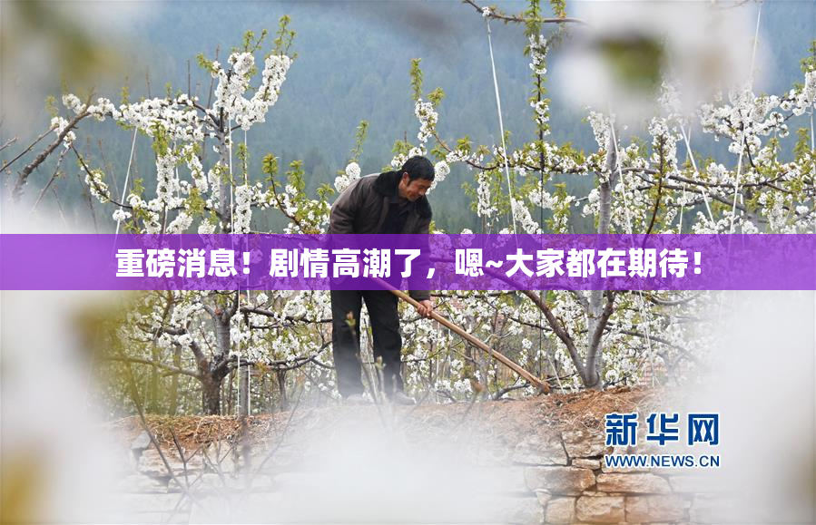 重磅消息！剧情高潮了，嗯~大家都在期待！