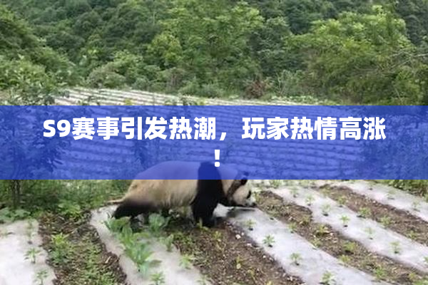 S9赛事引发热潮，玩家热情高涨！