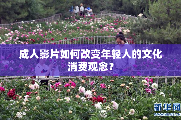成人影片如何改变年轻人的文化消费观念？