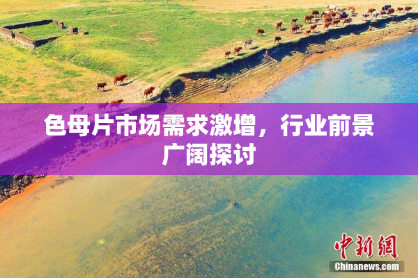 色母片市场需求激增，行业前景广阔探讨