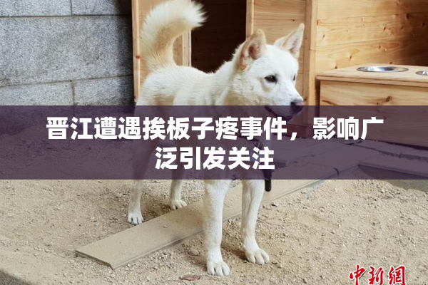 晋江遭遇挨板子疼事件，影响广泛引发关注