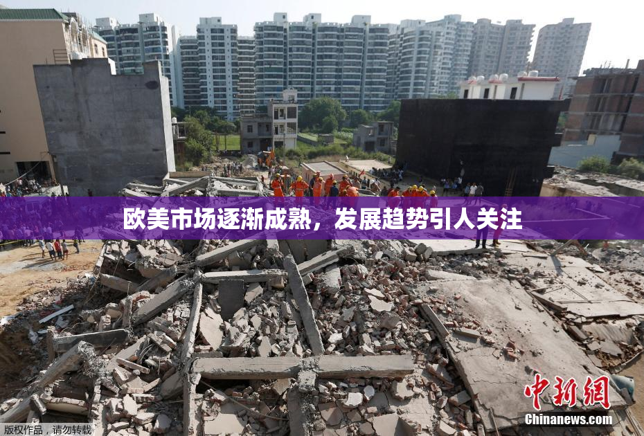 欧美市场逐渐成熟，发展趋势引人关注