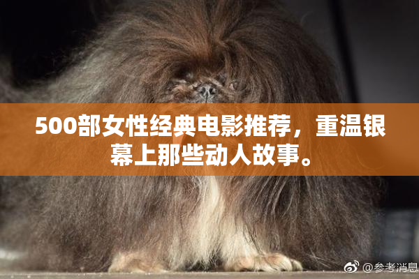 500部女性经典电影推荐，重温银幕上那些动人故事。