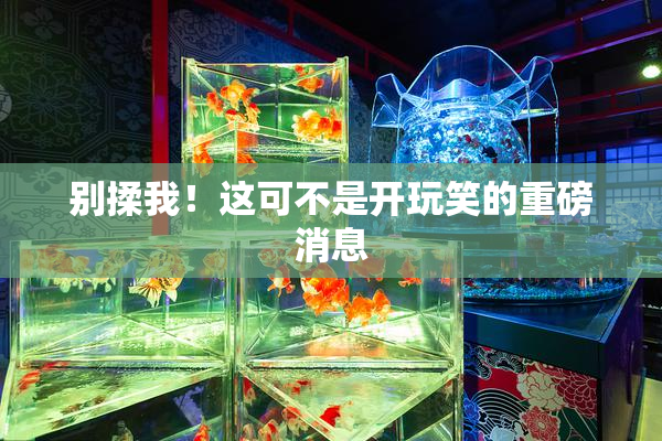别揉我！这可不是开玩笑的重磅消息