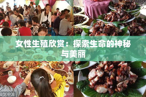 女性生殖欣赏：探索生命的神秘与美丽