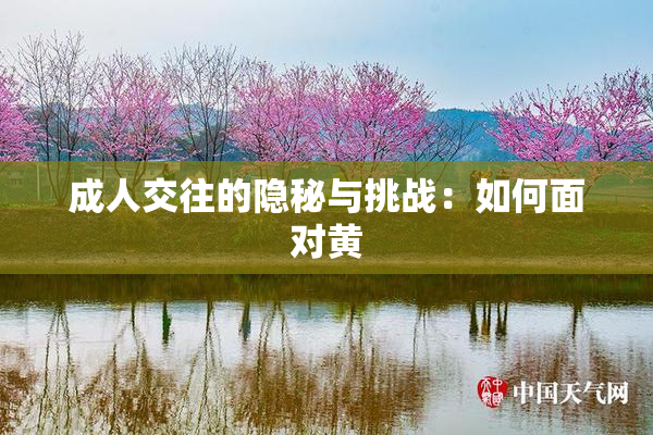 成人交往的隐秘与挑战：如何面对黄