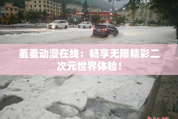 羞羞动漫在线：畅享无限精彩二次元世界体验！