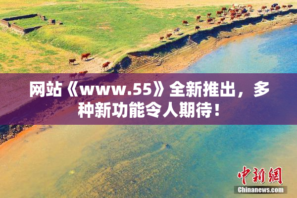 网站《www.55》全新推出，多种新功能令人期待！