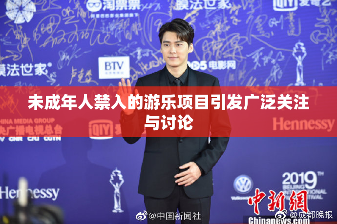 未成年人禁入的游乐项目引发广泛关注与讨论