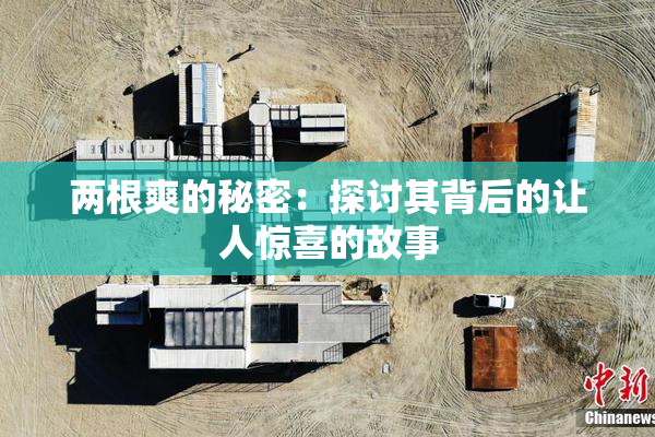 两根爽的秘密：探讨其背后的让人惊喜的故事