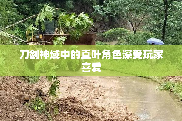 刀剑神域中的直叶角色深受玩家喜爱
