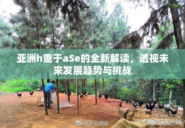 亚洲h重于aSe的全新解读，透视未来发展趋势与挑战