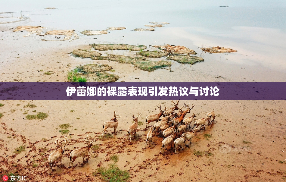 伊蕾娜的裸露表现引发热议与讨论