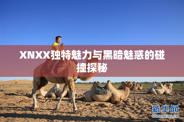 XNXX独特魅力与黑暗魅惑的碰撞探秘