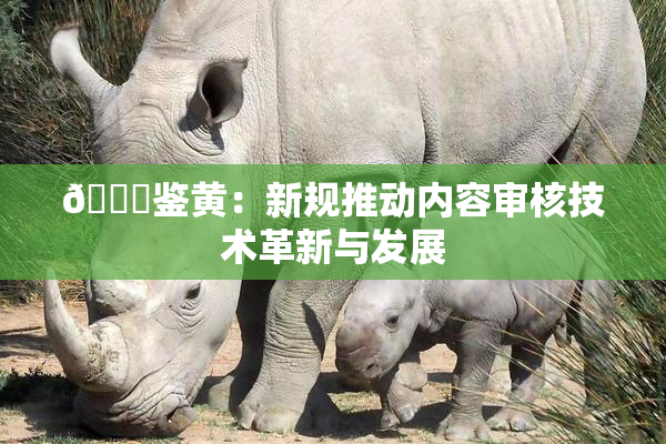 🔞鉴黄：新规推动内容审核技术革新与发展