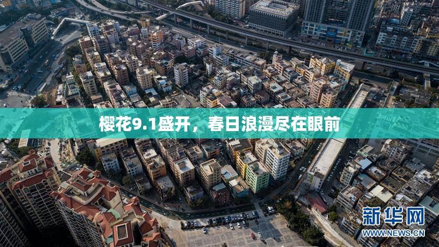 樱花9.1盛开，春日浪漫尽在眼前