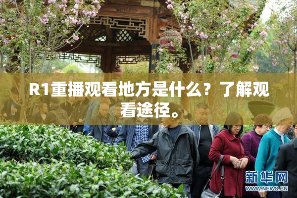 R1重播观看地方是什么？了解观看途径。
