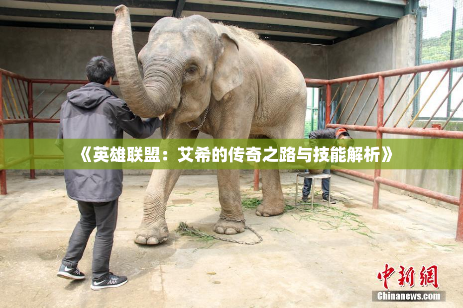 《英雄联盟：艾希的传奇之路与技能解析》