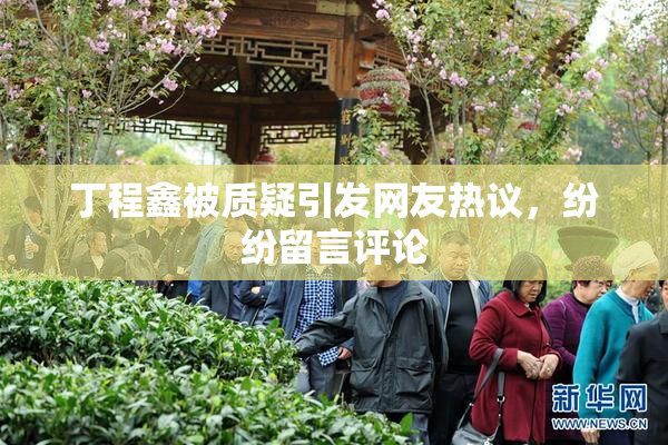 丁程鑫被质疑引发网友热议，纷纷留言评论