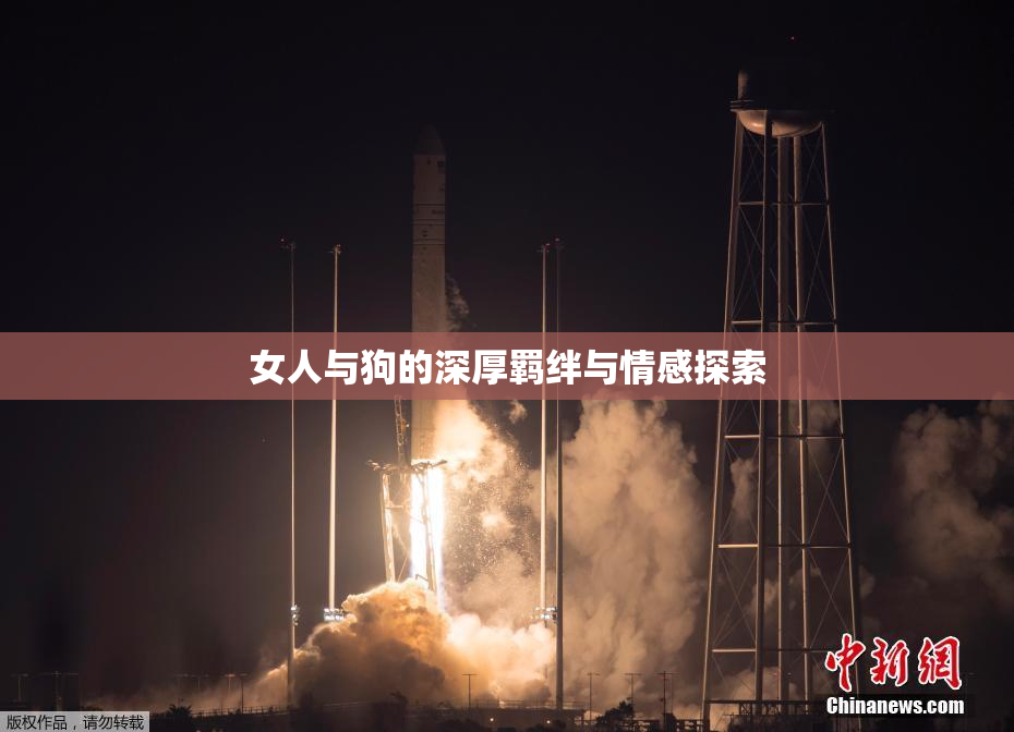 女人与狗的深厚羁绊与情感探索