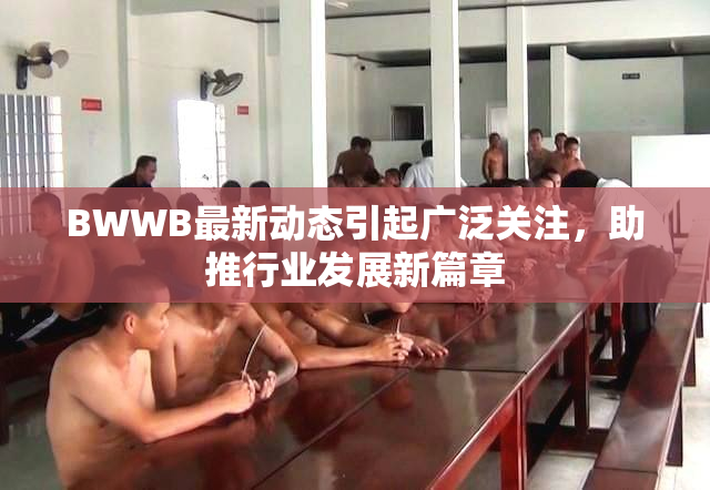BWWB最新动态引起广泛关注，助推行业发展新篇章