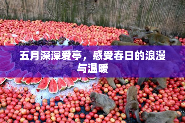 五月深深爱亭，感受春日的浪漫与温暖