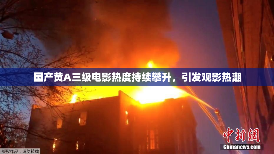 国产黄A三级电影热度持续攀升，引发观影热潮