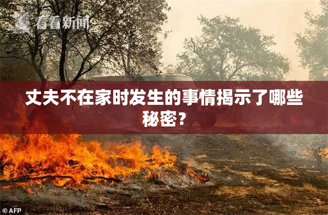 丈夫不在家时发生的事情揭示了哪些秘密？