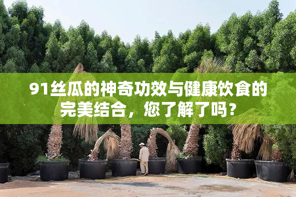 91丝瓜的神奇功效与健康饮食的完美结合，您了解了吗？