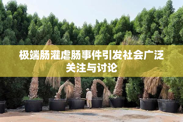 极端肠灌虐肠事件引发社会广泛关注与讨论