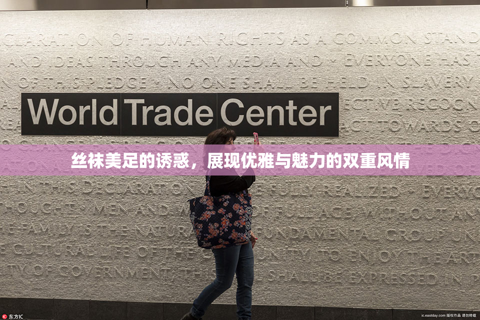 丝袜美足的诱惑，展现优雅与魅力的双重风情