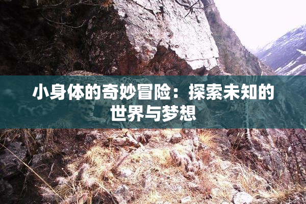 小身体的奇妙冒险：探索未知的世界与梦想