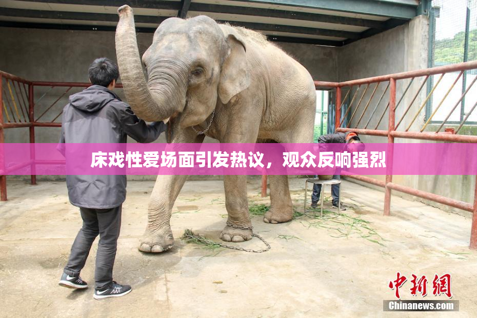 床戏性爱场面引发热议，观众反响强烈