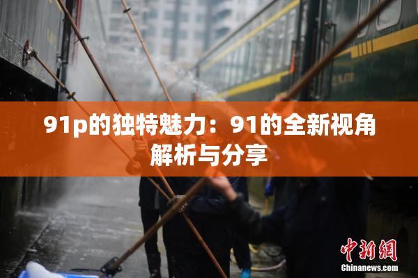 91p的独特魅力：91的全新视角解析与分享