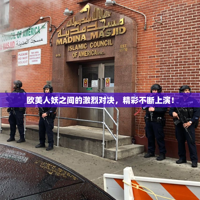 欧美人妖之间的激烈对决，精彩不断上演！