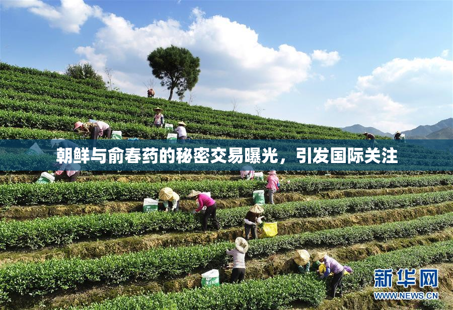 朝鲜与俞春药的秘密交易曝光，引发国际关注