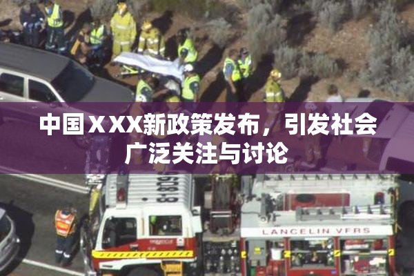 中国ⅩXX新政策发布，引发社会广泛关注与讨论