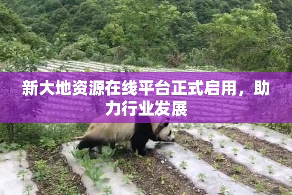 新大地资源在线平台正式启用，助力行业发展