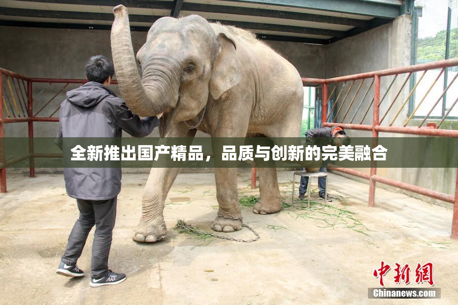 全新推出国产精品，品质与创新的完美融合