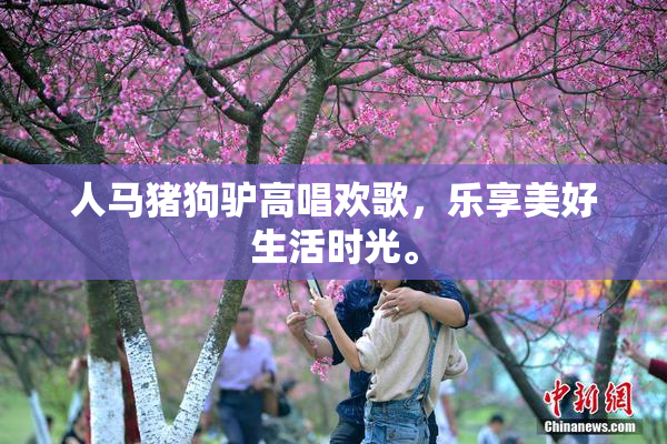 人马猪狗驴高唱欢歌，乐享美好生活时光。