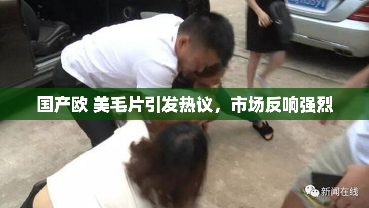 国产欧 美毛片引发热议，市场反响强烈